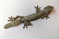 Mossy Leaf Tailed Gecko (Uroplatus sikorae)