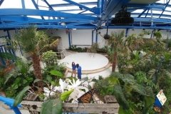 Photo_3