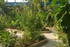 Photo_5
