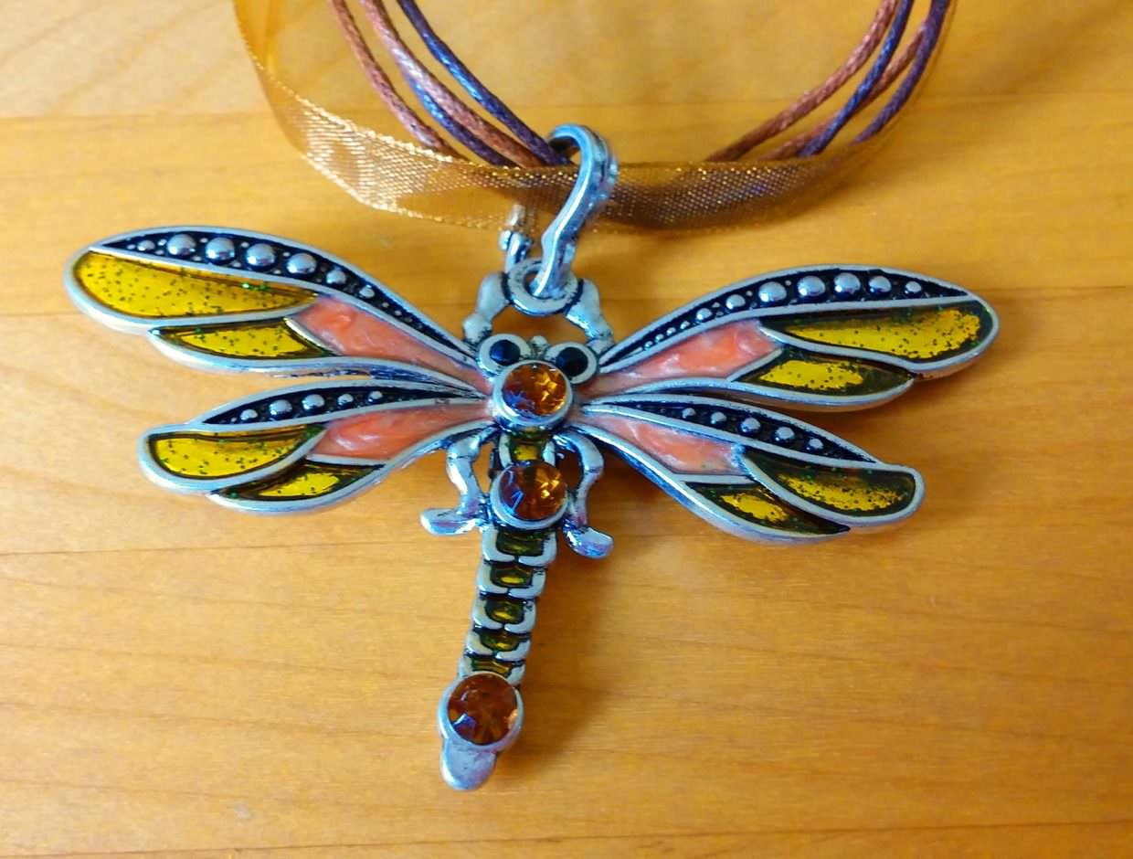 Philadelphia Insectarium & Butterfly Pavilion Gift Shop