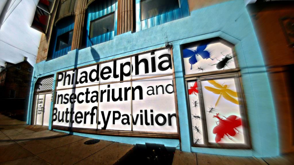 Butterfly Pavilion Open House