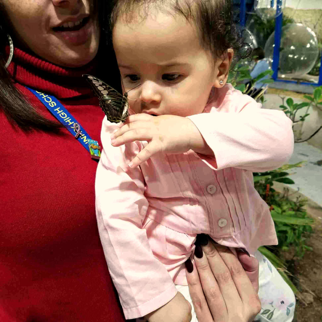 Butterfly Pavilion Open House - Baby 3