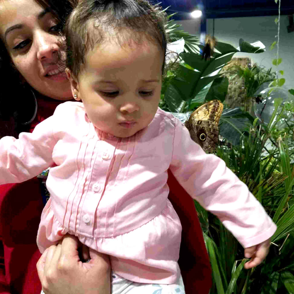 Butterfly Pavilion Open House - Baby 1