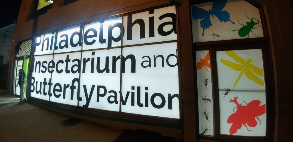 butterfly pavilion grand opening