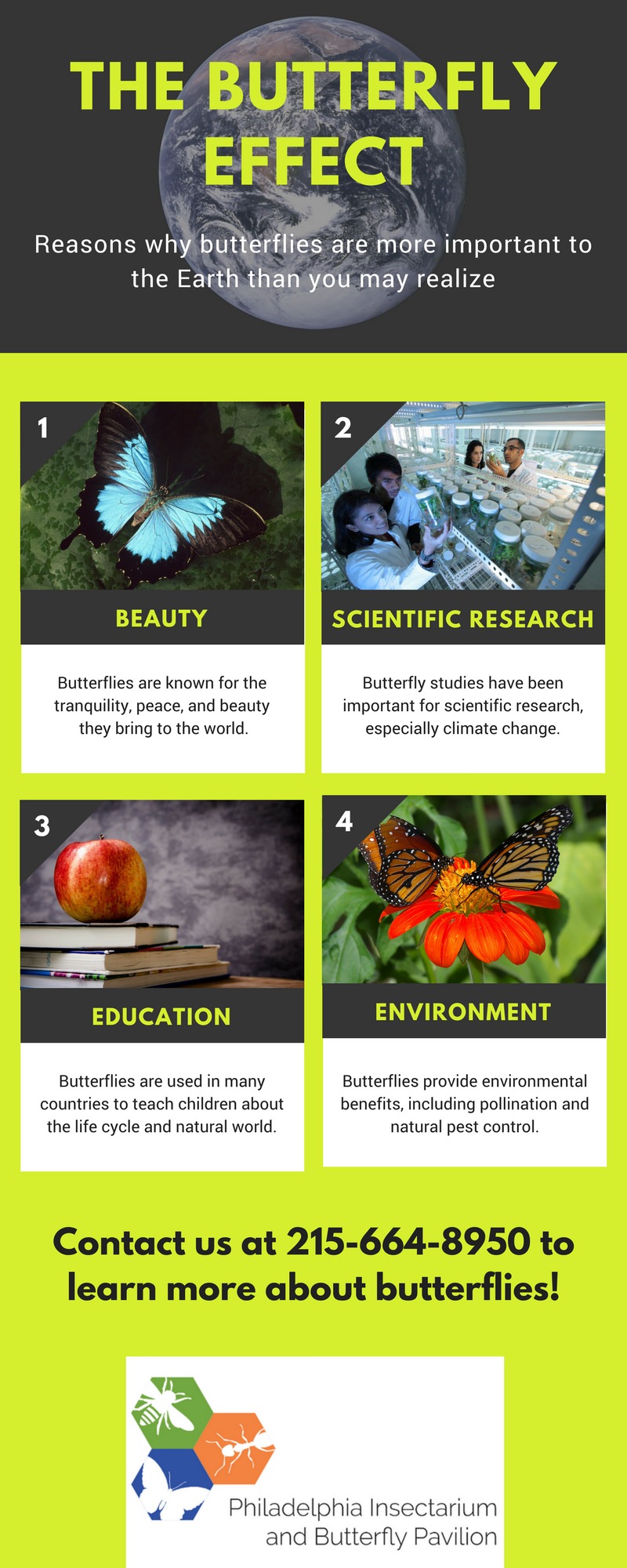 importance of butterflies