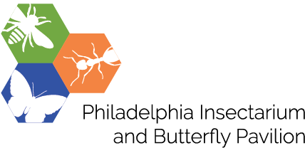 Philadelphia Insectarium and Butterfly Pavilion