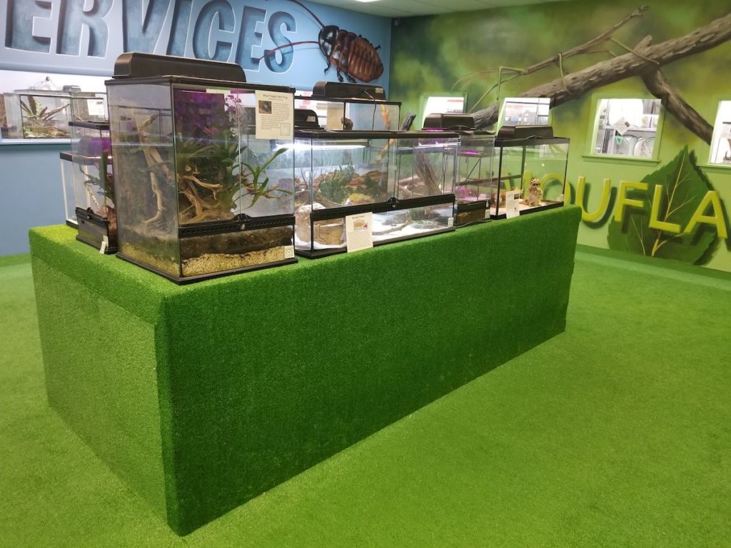 Butterfly Pavilions Renovations