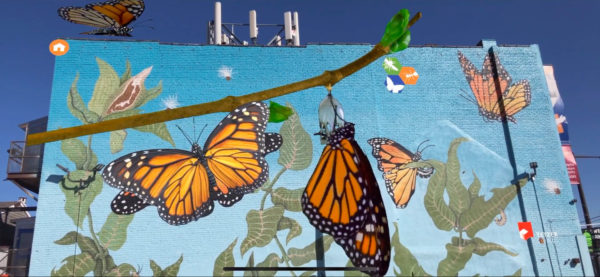 Insect AR App