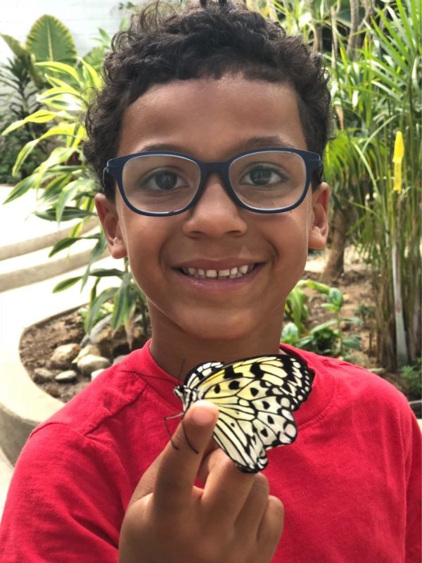 Philadelphia Butterfly Garden Child Admission