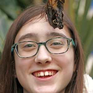 Philly Butterfly Festival