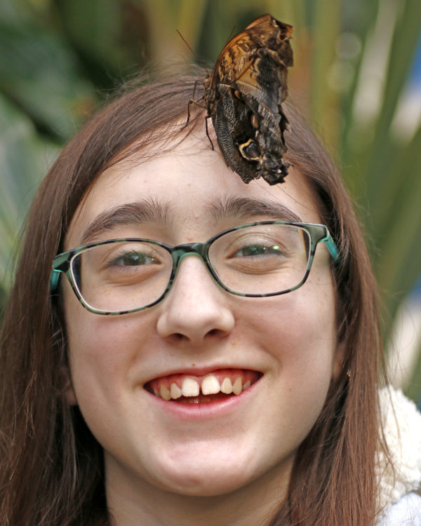 Philly Butterfly Festival