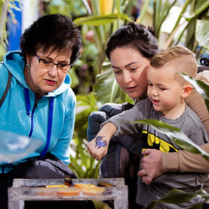 admission Philadelphia insectarium and butterfly pavilion