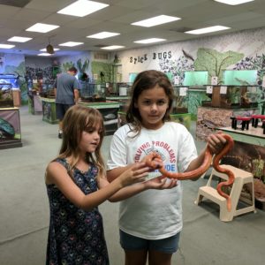 summer camp at the insectarium