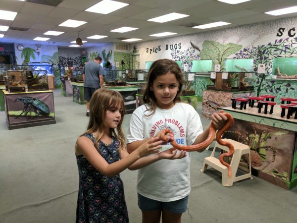 summer camp at the insectarium