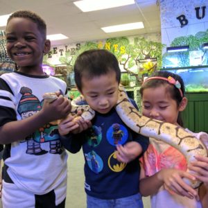 insectarium summer camp