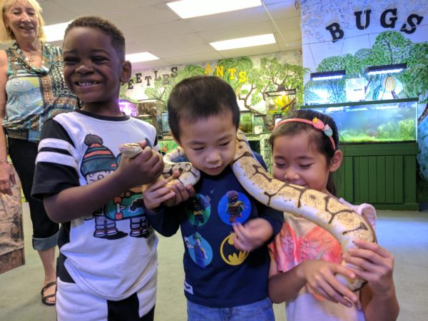 insectarium summer camp