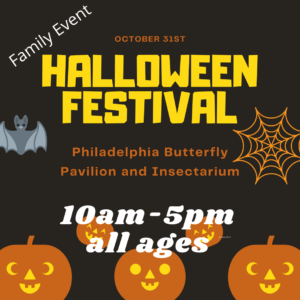 Halloween festival