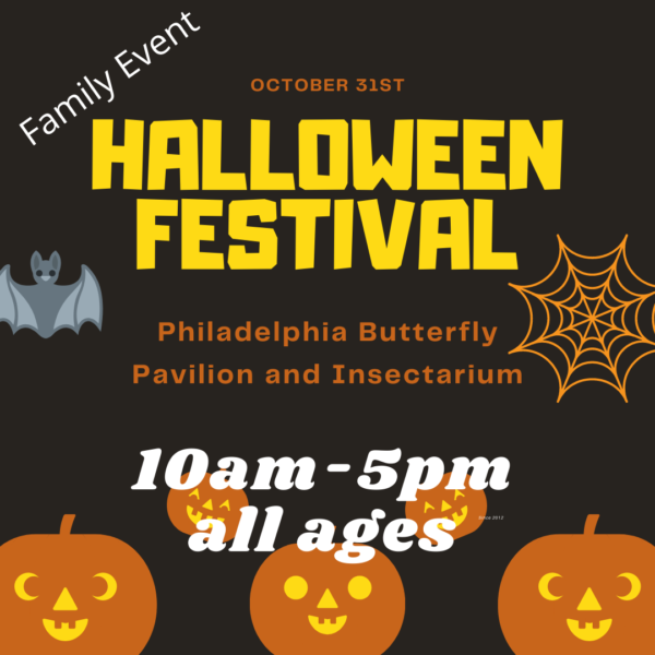 Halloween festival
