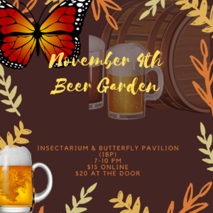 November 4th beer garden