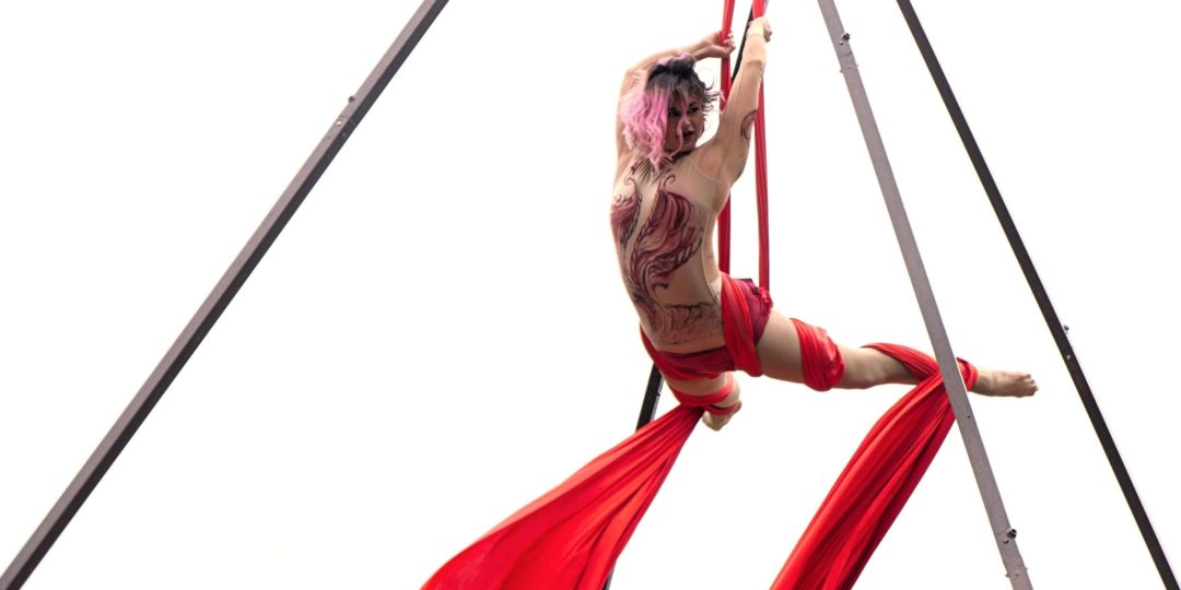 acrobatic performers insectarium