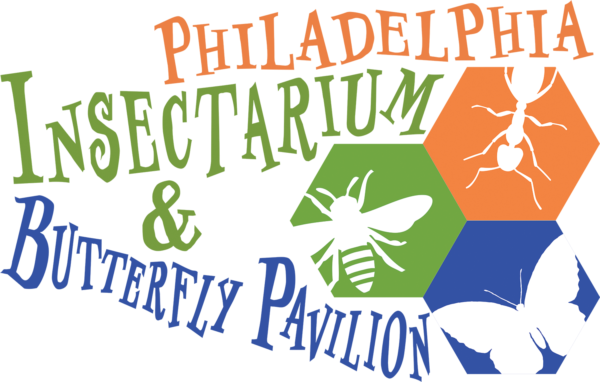philadelphia insectarium