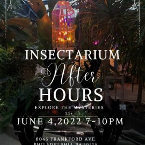 June 4th beer garden