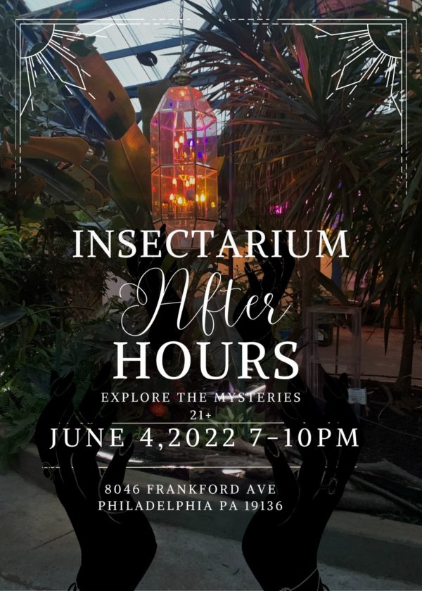 June 4th beer garden