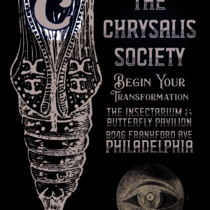 The Chrysalis