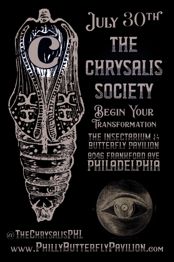 The Chrysalis